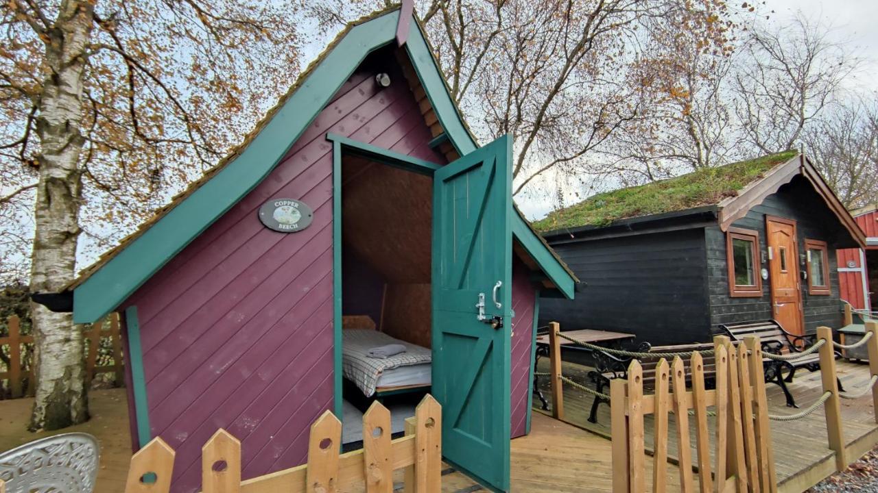 Apartamento Seaways Glamping, Copper Beech Driffield Exterior foto